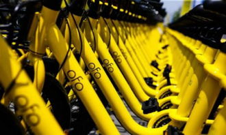 ofo 回應異?？圪M 抖音回應廣告業務被停 余額寶總規模達 1.8 萬億元